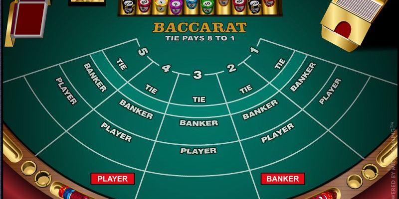 Thuật ngữ trong game Baccarat bạn cần nắm