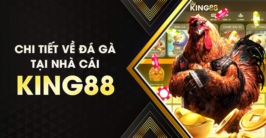 Game đá gà King88 là gì?